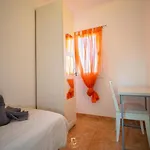 Paradise Farm Salobre (Gran Canaria)