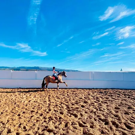 Paradise Farm * Salobre (Gran Canaria)